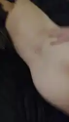 asian-pussy