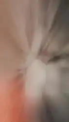 backgroud