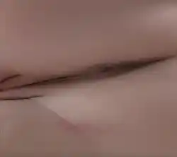 backgroud