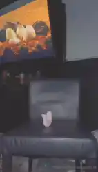 backgroud