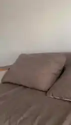backgroud