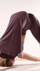 backgroud