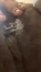 darkened-pussy-and-ass
