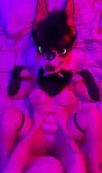 furry photo 2