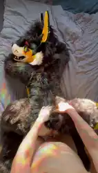 furry photo 3