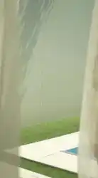 backgroud