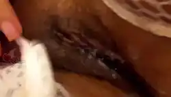 pussy-grool