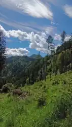 backgroud