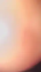 adorable-porn