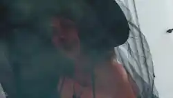 backgroud