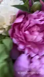 backgroud