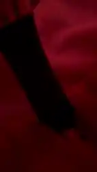 backgroud
