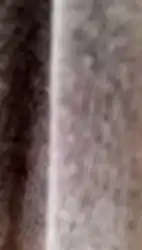 backgroud