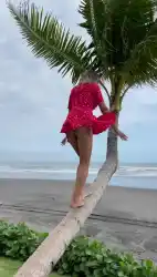 backgroud